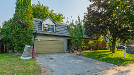 87 Shannon Road - Mount Albert